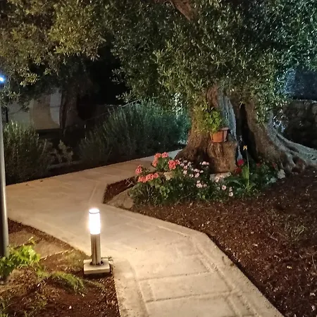 Sammy Prázdninový dům Monopoli