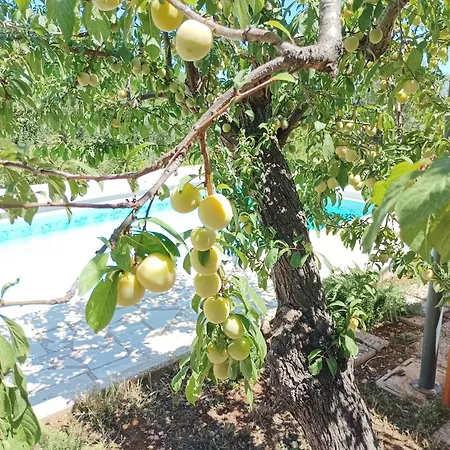 Holiday home Sammy Monopoli